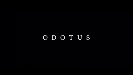 ○ Odotus (2021)