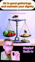 If a fly lands on the scales while weighing vegetables, it won't make any difference