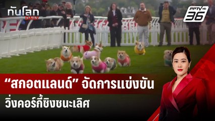 “สกอตแลนด์” จัดการแข่งขันวิ่งคอร์กี้ชิงชนะเลิศ | ทันโลก DAILY | 21 เม.ย.68