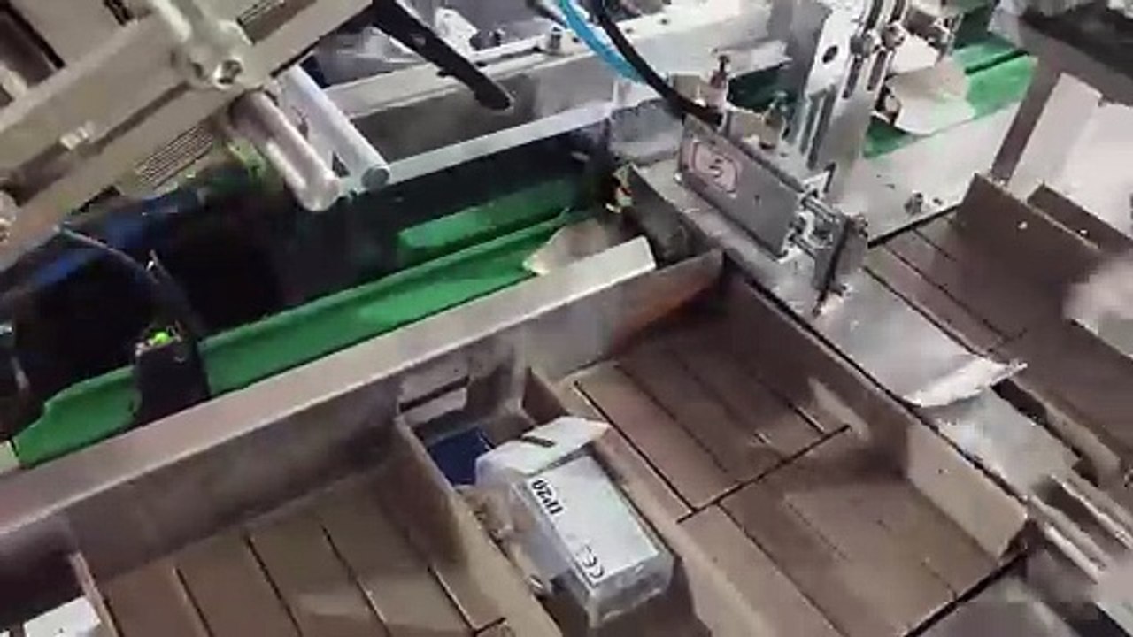 Cartoning Machine for LED Copper Wire Fairy Lights