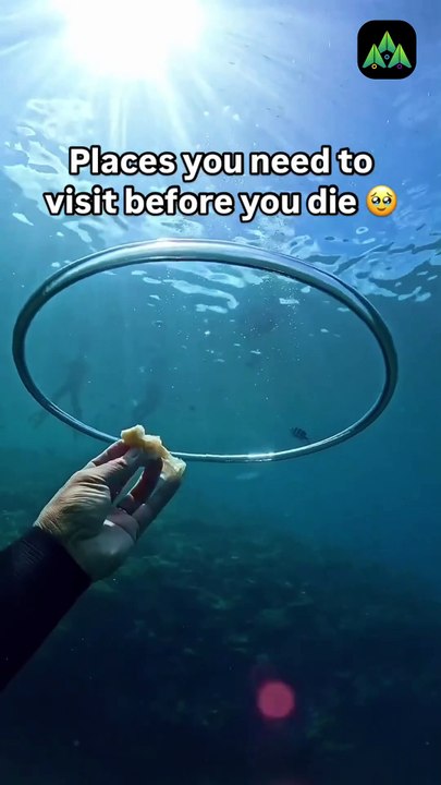 Top 3 Hidden Paradise You Must Visit Before You Die | #hiddengems #australia #madeira #kangaroo #yts