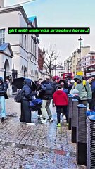 Turista tenta provocar cavalo real e acaba por ser repreendida