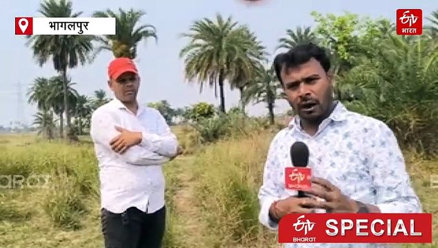 बिहार का एक ऐसा गांव जहां बिजली के एक पोल के लिए हुआ था खूनी संघर्ष, बिछ गई थी 27 लाशें