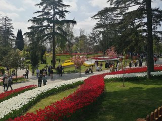 Bütün İstanbullular davetli: Milyonlarca lale sizi bekliyor