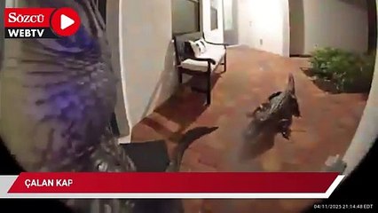 Çalan kapıya baktığında gözlerine inanamadı: Bir değil iki taneydiler