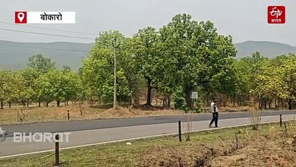 झारखंड के बोकारो में बड़ा एनकाउंटर, मुठभेड़ में मारे गए नक्सलियों का शव बरामद