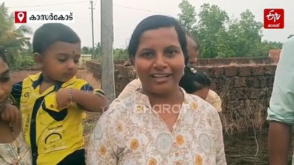 വേനല്‍മഴ ആണെന്ന് അറിയാതെ വിരുന്നെത്തി മഞ്ഞത്തവളകള്‍, പിന്നീട് അപ്രത്യക്ഷം; അത്ഭുതമെന്ന് നാട്ടുകാര്‍...!