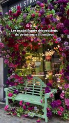 Les décorations de printemps à Londres