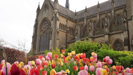Beautiful Arundel Castle Gardens scenes as Tulip Festival continues