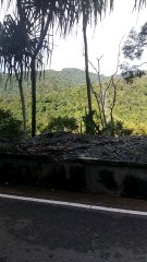 pemandangan alam indah tangse