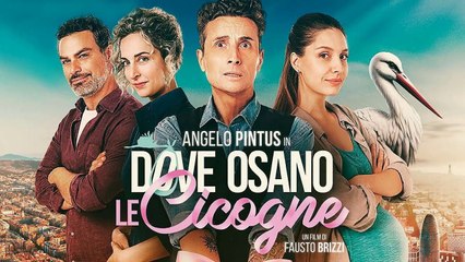 Dove osano le cicogne (2024) HD
