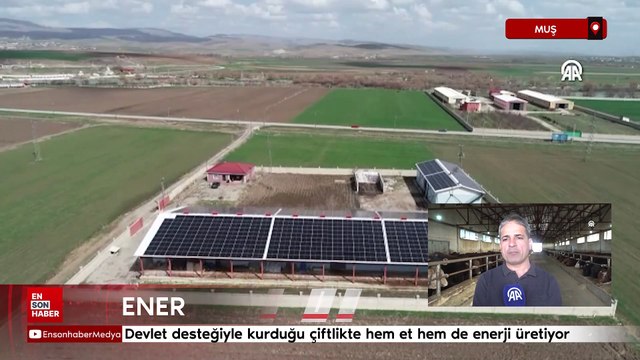 Muş'ta devlet desteğiyle kurduğu çiftlikte hem et hem de enerji üretiyor