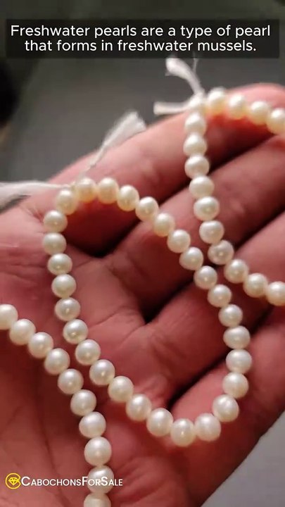 wanted-to-know-what-made-it-special-1280-ytshorts.savetube.me