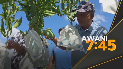 Pengeluaran meningkat sehingga 500 peratus berbanding tahun lalu