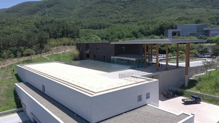 [대구] 대구간송미술관 '화조미감' 온라인 예매 오픈 / YTN