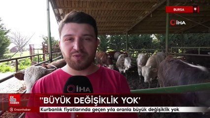 Bursa'da kurbanlık fiyatlarında geçen yıla oranla büyük değişiklik yok