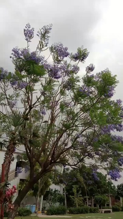 Nature view 😜😁😜