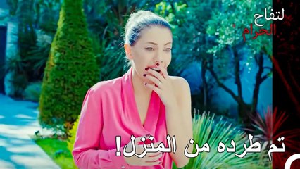 كان مقدرا أيضا أن توضع عند الباب - التفاح الحرام الحلقة ال 139