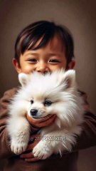 Cute Puppy 🎀 Funny Animal #shorts #reel #viral #cute #funnyanimals #kid #kids #kidsvideo