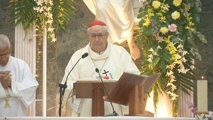 Cardenal Lacunza recuerda la visita del papa Francisco