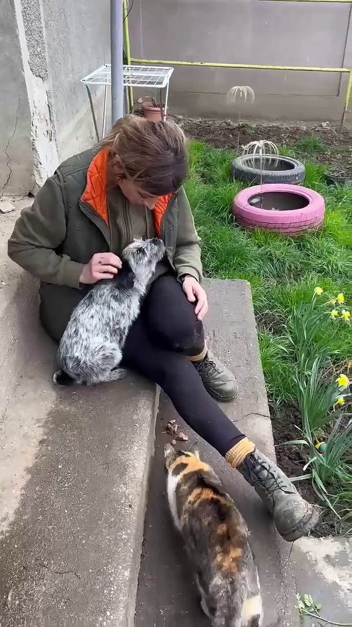 The abandoned puppy who captured hearts around the world