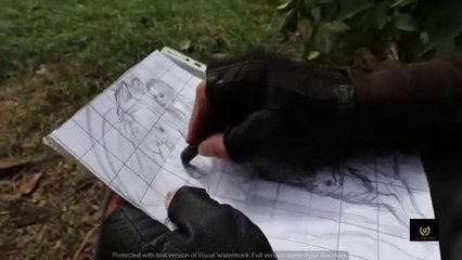 Timber Transformations – Chainsaw Carving Magic