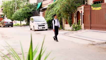 Billiyun ka oonchaai se gir k Mehfooz Rehne ka Raaz? - Sultan ep6 Incredible Survival Skills of Cats