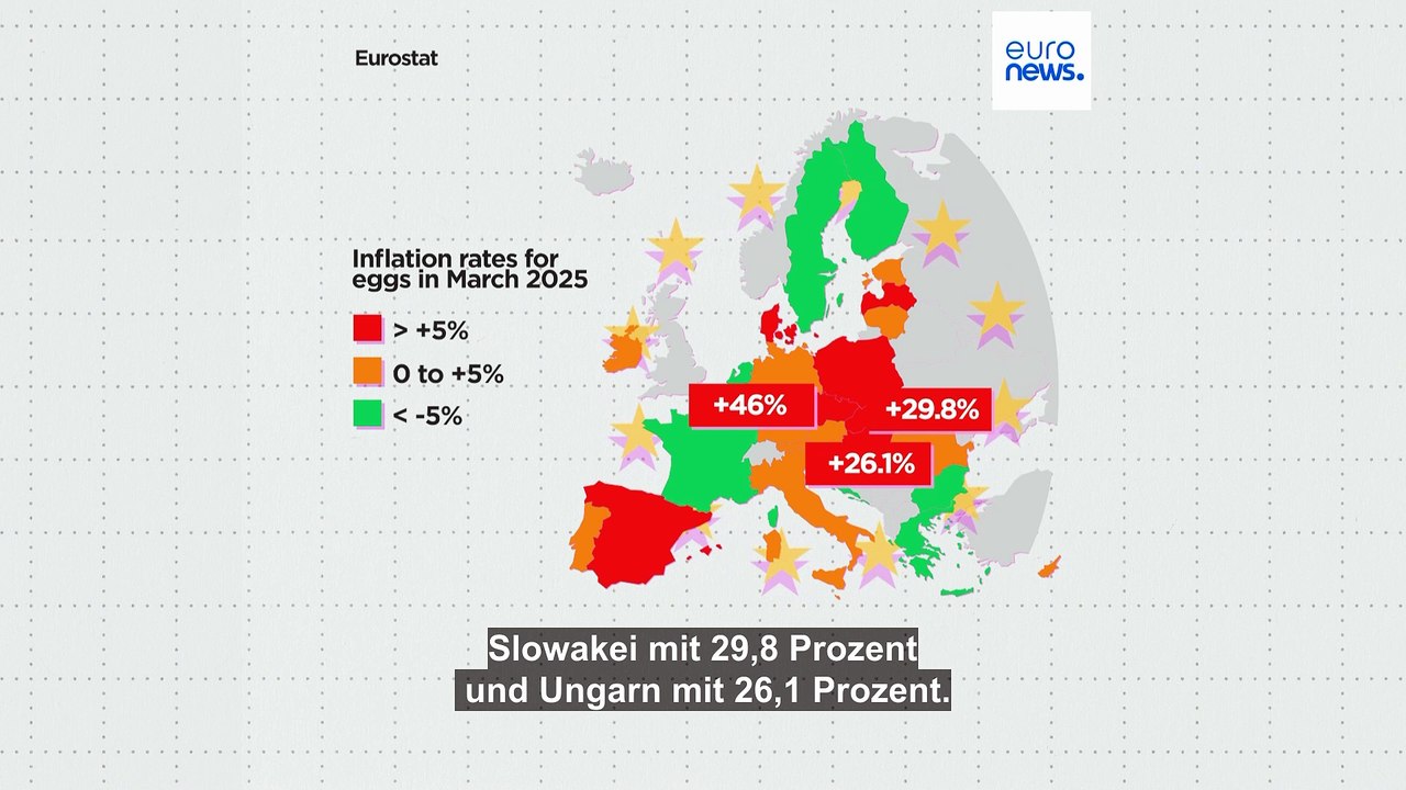 Die Eierpreise steigen in der EU weiter an. Welcher Mitgliedsstaat zahlt am meisten?