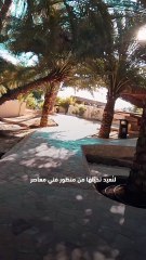 Dubai's 'largest site-specific art installation' on Hatta mountains
