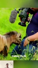 Ultimate Funny Fails Compilation 2025 😂 | Try Not to Laugh Challenge!