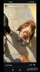 chiaraferragni il suo brand