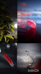 Painful Reality Urdu Poetry As Writer Brand|as writer brand