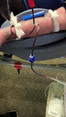 Alex Quant-Smith donating blood