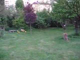 vol avec mon kit trainning