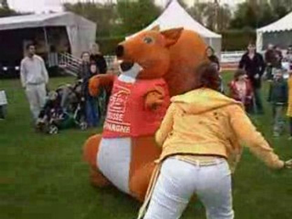 Capoeira VS ECUREUIL (caisse d'épargne)