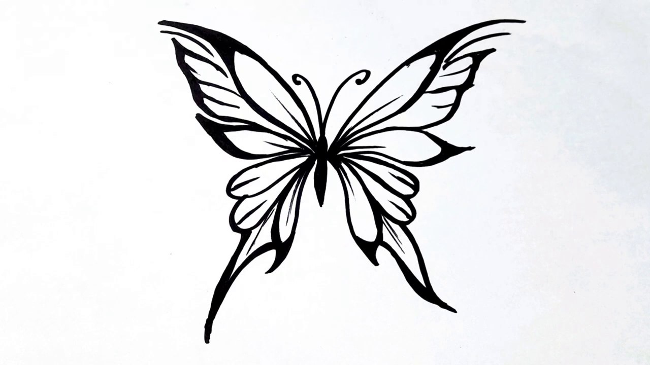 "Easy Butterfly Drawing Tutorial for Beginners | Step-by-Step