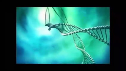 Caminhos do Coração 1ª Temp. Cap. 123