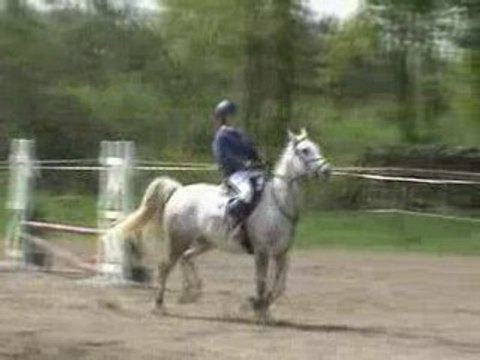 CSO - Némo du Gabereau et Sophie-Charlotte mai 2008