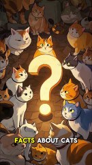 CAT Facts You Need To Know Now