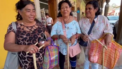 Declaran veda al otate tras su sobreuso en bastones de peregrinos en Talpa de Allende