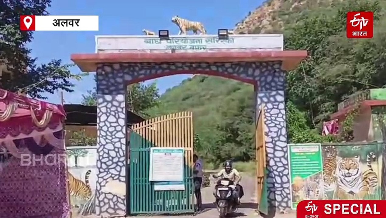 रणथंभौर की घटना से सरिस्का अलर्ट, प्रशासन के निर्देशों का नहीं पर्यटकों पर असर