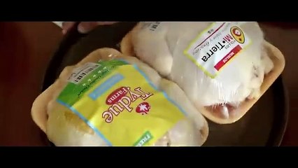 EXTRA TERRESTRES PELICULA EN HD COMPLETA EN ESPANOL LATINO PELICULA DRAMA 2025