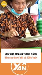 Nghề đém tôm và cua giống chỉ 200k 1 ngày