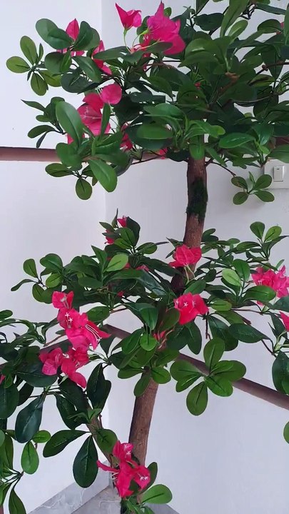 Cây Hoa Đỗ Quyên Giả 170cm – Lựa Chọn Trang Trí Nội Ngoại Thất Hoàn Hảo