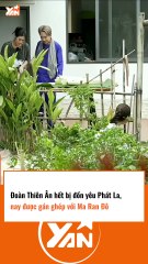 Đoàn Thiên Ân bị đẩy thuyền quá nhiều