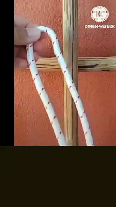 Wood knot