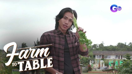Chef JR Royol cooks savory dishes with Basil, Mint, and Cilantro! | Farm To Table