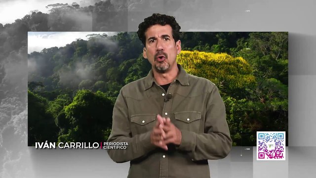 Reporte Climático 193 | Proteger los océanos compromiso con la conservación marina