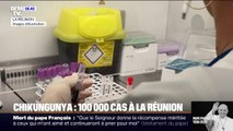 Chikungunya: l'inquiétude se répercute sur le tourisme à La Réunion
