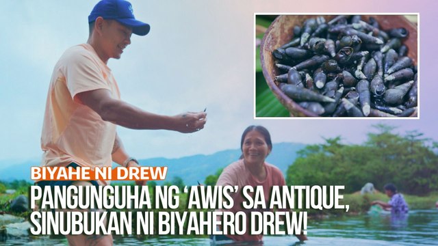Pangunguha ng ‘awis’ sa Antique, sinubukan ni Biyahero Drew! | Biyahe ni Drew